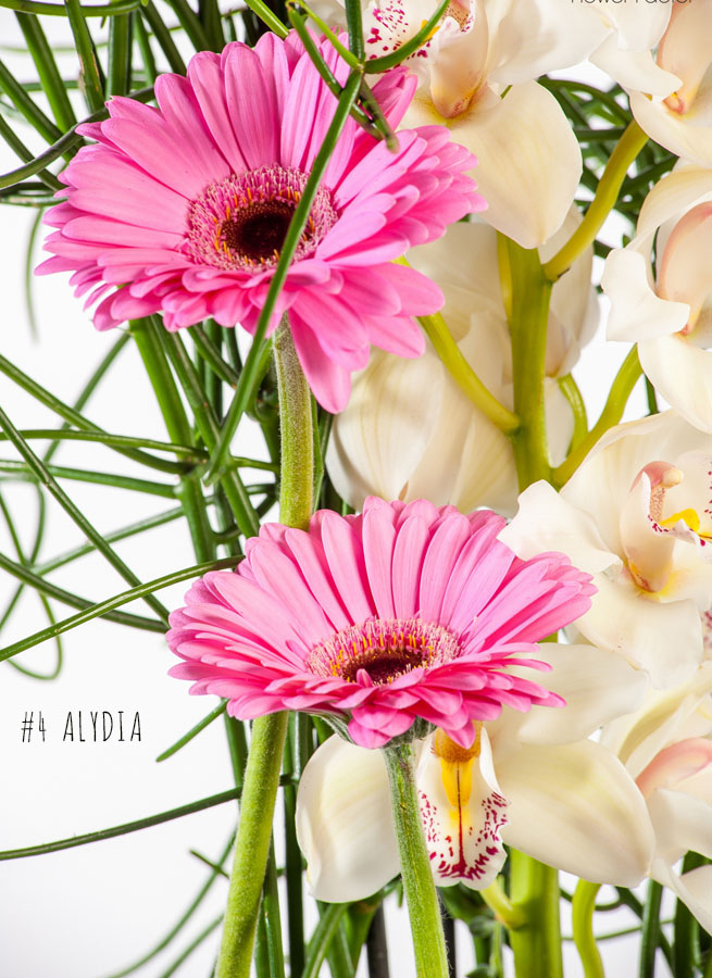 Zes zoete bloemen voor zes typen vrouwen. 