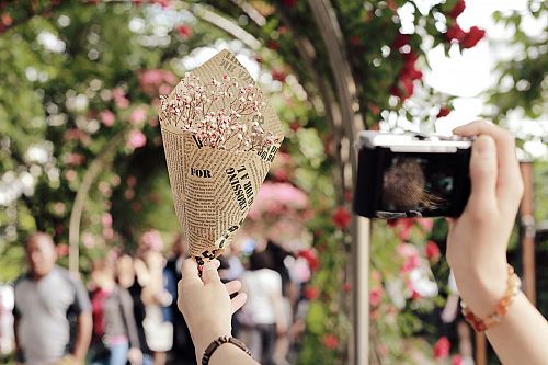 5 Tips voor het fotograferen van bloemen