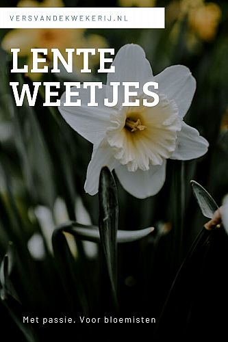 Lentekriebels: leuke weetjes